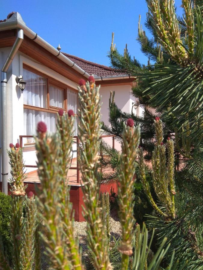 Nadas Pihenopark Tiszafüred Exteriör bild